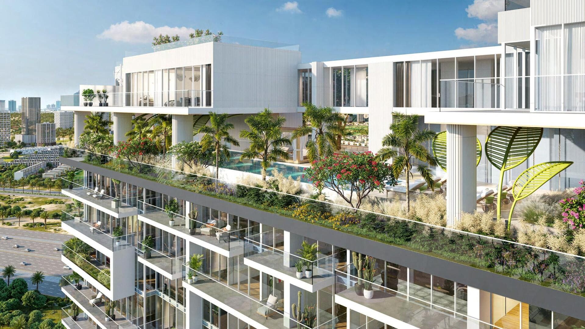 Legado - Thumbnail 4